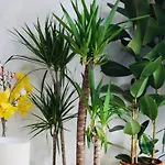 شقة Coeur Historique,superbe بوردو